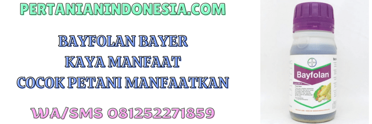 bayfolan,bayer,budidaya,tanaman,pertanian indonesia